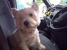 Bessie